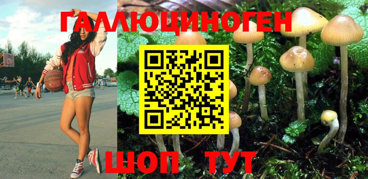 Пенза  Псилоцибиновые грибы мицелий  Вход с VPN 